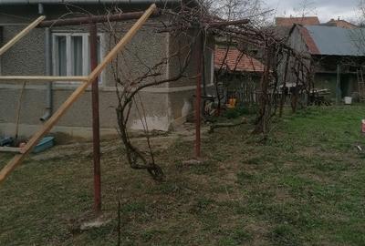 Casă individuală cu 5 camere cu Teren 1200 Mp în Lopătari - 6