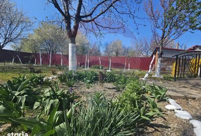 Casă cu 5 camere cu Teren 535 Mp în Central