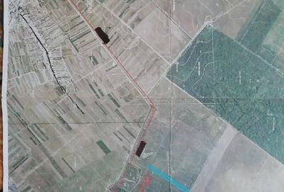 Teren de 16200 mp, în Copăceni