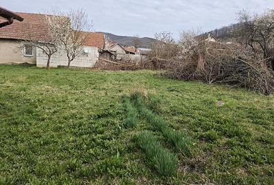 Casă cu 4 camere cu Teren 1000 Mp în Exterior Vest - 2