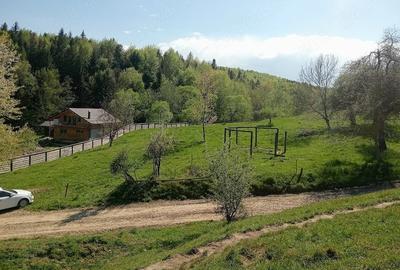 Teren de 1800 mp, în Varvata - 9