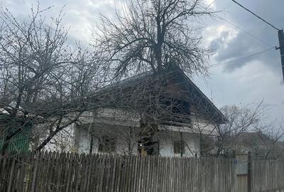 Casă cu 4 camere cu Teren 5000 Mp în Roești - 5