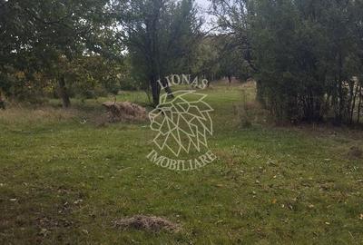 Teren Construcții intravilan de 1500 mp, în Mijlocenii Bârgăului - 3