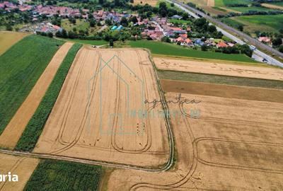 Teren de 2900 mp, în Vințu de Jos - 4