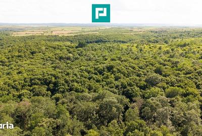 Teren de 22900 mp, în Central - 5
