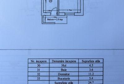 Garsonieră decomandată în Ciurea - 12