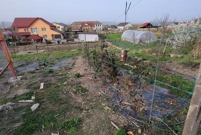 Casă cu 2 camere cu Teren 73 Mp în Mica - 7