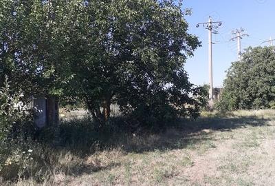 Teren de 4000 mp, în Căldărușeanca - 6