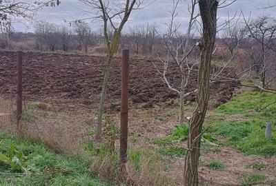 Teren de 2250 mp, în General Scărișoreanu - 4