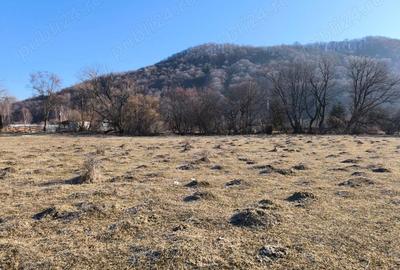 Teren de 6100 mp, în Glăjărie