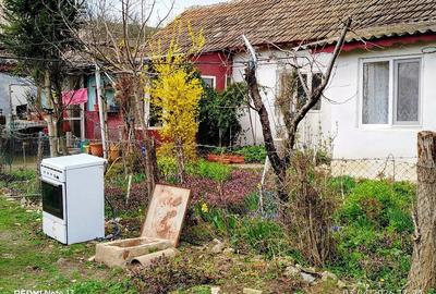 Casă cu 4 camere cu Teren 2440 Mp în Peștera - 6
