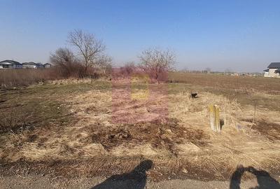 Teren de 1430 mp, în 1 Decembrie