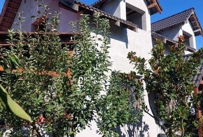 Casă cu 4 camere cu Teren 200 Mp în Ghiroda - 7