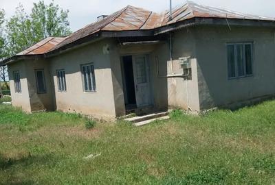 Casă cu 3 camere cu Teren 2500 Mp în Moșești - 1
