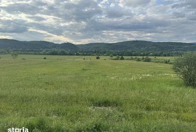 Teren de 25000 mp, în Central - 3