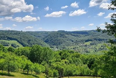 Teren de 4000 mp, în Berchez