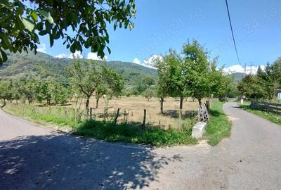 Teren de 9288 mp, în Bucova - 1