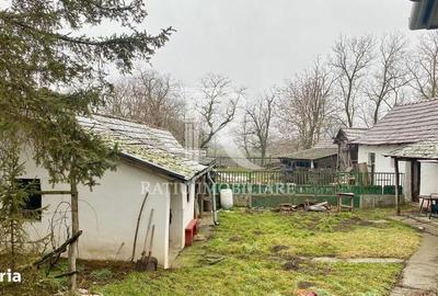 Casă cu 4 camere cu Teren 2000 Mp în Borș - 20