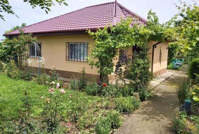 Casă cu 3 camere în Reviga - 6