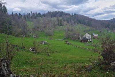 Spațiu comercial, în Ghețari - 4