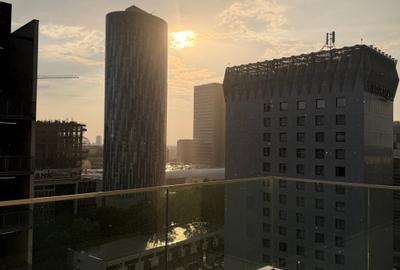 Apartament cu 4 camere decomandat în Aviației - 10
