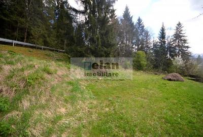 Teren Construcții intravilan de 1060 mp, în Predeal - 6