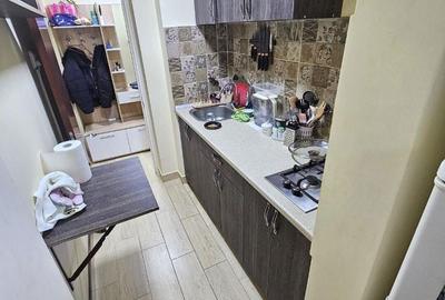 Apartament cu 2 camere în Giurgiului - 10