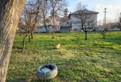 Teren Construcții intravilan de 6000 mp, în Dascălu - 1