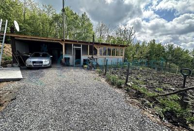 Casă individuală cu 4 camere cu Teren 27000 Mp în Codrișoru - 10