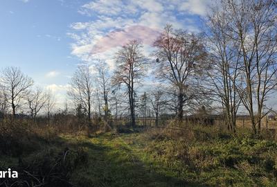 Teren de 10860 mp, în Gălănești - 1