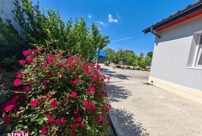 Casă cu 3 camere cu Teren 675 Mp în Vidra - 3
