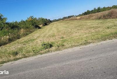 Teren de 8000 mp, în Dragomirești