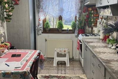 Casă cu 2 camere în Dosu Bricii - 8