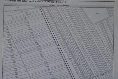 Teren de 15000 mp, în Năsturelu