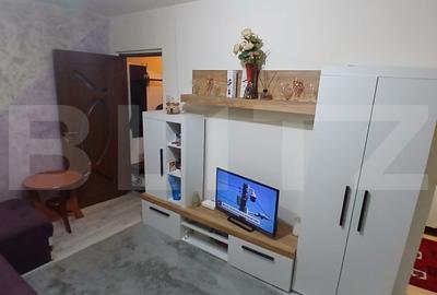 Apartament cu 2 camere nedecomandat, mobilat în Mureșeni