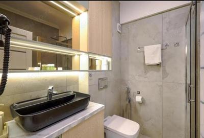 Apartament cu 2 camere decomandat, mobilat în Brazda lui Novac - 6