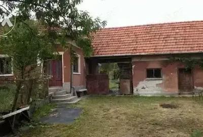 Casă cu 3 camere cu Teren 2523 Mp în Josani - 9