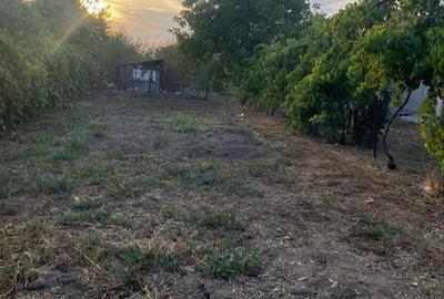 Casă cu 5 camere cu Teren 936 Mp în Robănești - 8