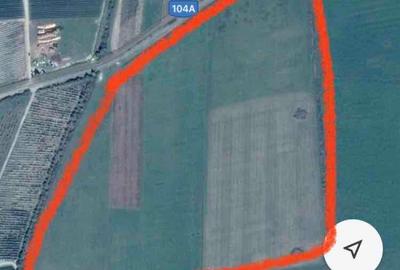 Teren de 41000 mp, în Drăguș - 2
