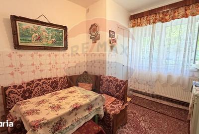 Apartament cu 3 camere decomandat în Radu Negru - 5