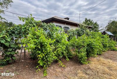 Casă cu 6 camere cu Teren 1247 Mp în Frăsinet