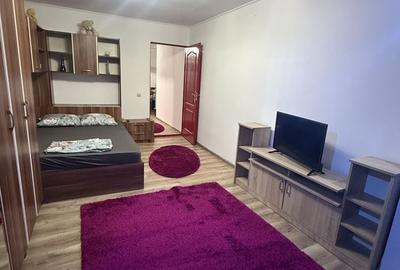 Garsonieră semidecomandată în Terezian - 3