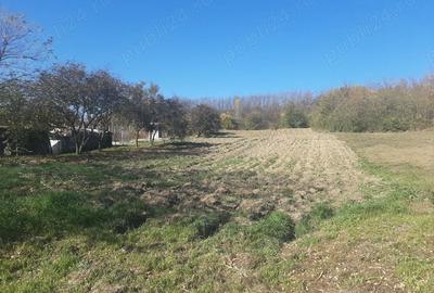 Teren de 1780 mp, în Călinești - 1
