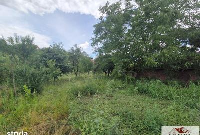 Casă cu 3 camere cu Teren 1526 Mp în Galda de Jos