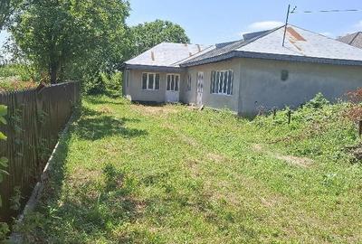 Casă cu Teren 2000 Mp în Mirceștii Vechi - 1