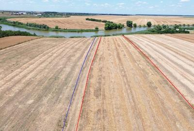 Teren Construcții extravilan de 6500 mp, în Frumușani - 4
