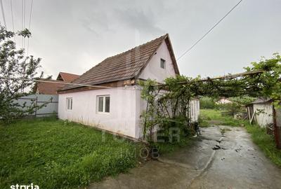 Casă cu 3 camere cu Teren 980 Mp în Central - 1