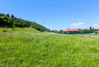 Teren Construcții intravilan de 2000 mp, în Cristian - 1