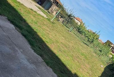 Casă cu 3 camere în Teremia Mare - 4