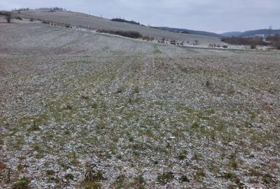 Teren de 5450 mp, în Vânători - 2